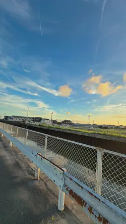 1VID FILTER IPHONE