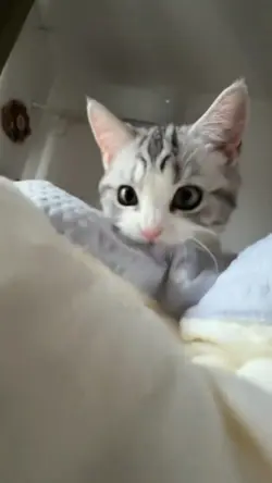 CUTE
