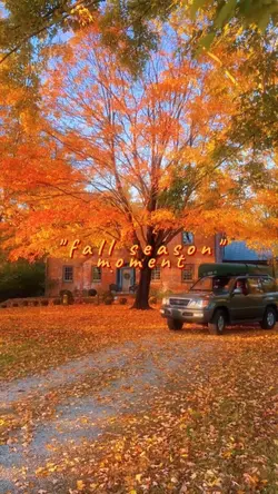 Fall Season 2024