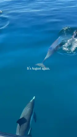 It's August Again