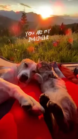 You are my sunshine 