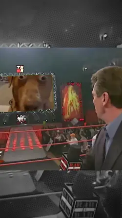 wwe Meme