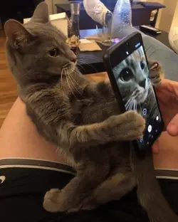 not my pic