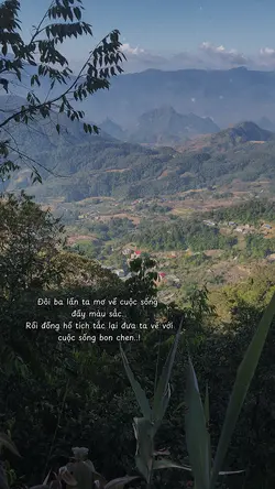 Caption & màu
