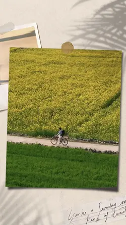여행 한번 가보자!
