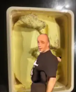 Crumbs In The Butter