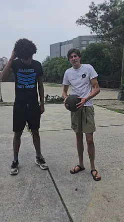 basketball horse