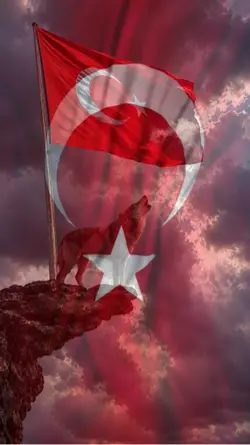 Türk Bayrağı 🇹🇷