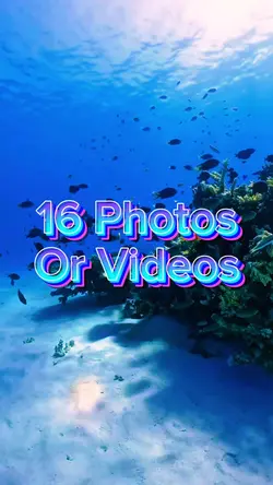 16 Photo Slides