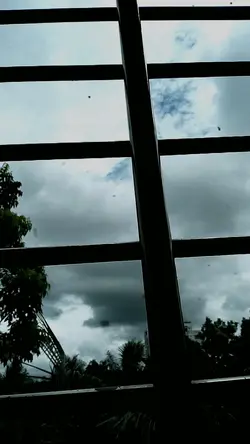 ঘর ছাড়া বাতাস হয়ে 