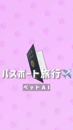 【海外バズり】パスポート編集