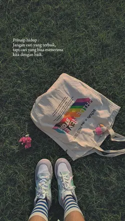 story wa