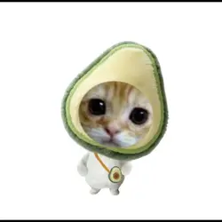 avocado 🥑