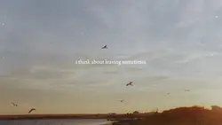Quotes Video