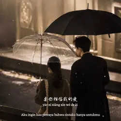 流星雨 Liu xing yu