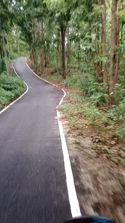 Travel