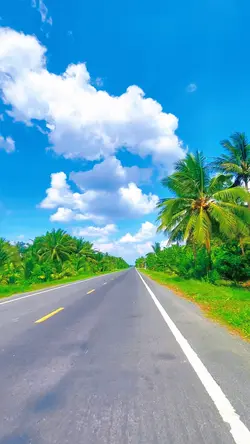 bầu trời xanh lét