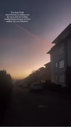 🕊️🕊️