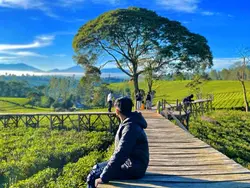 HD + JERNIH 