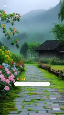 baran hom dy