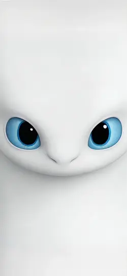 Wallpaper