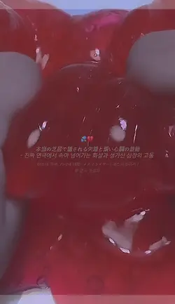 메스머라이저 メズマライザー