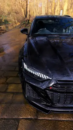 Audi beast