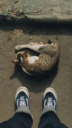 juli J nya apa