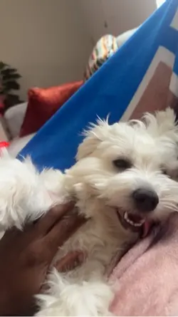 Professional Napper”