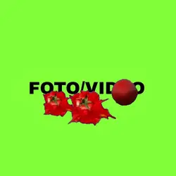 tomates meme