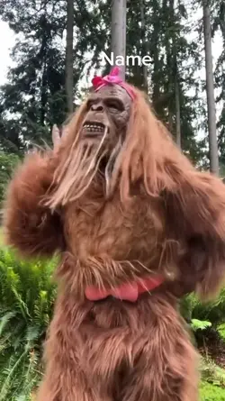 Dancing monkey