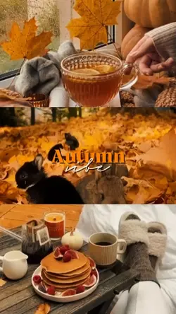 autumn vibe