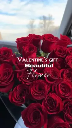 Valentine's gift