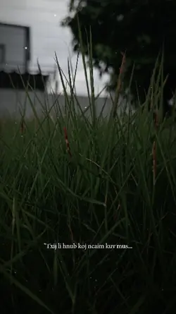 Luag puas hlub koj o