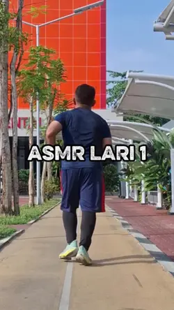 ASMR LARI 1