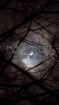The Moon 🌙 