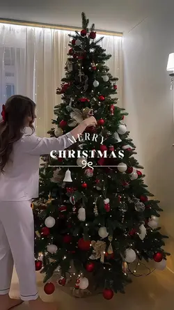 Merry Christmas 2024