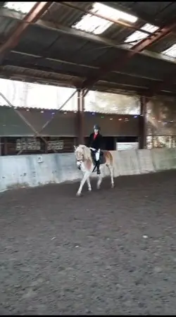 PERFECT PONYYY🫶🪩