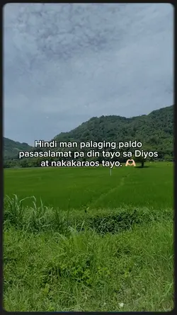 di man plging PALDO