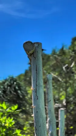 3KLIP FILTER IP HD