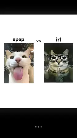 ff vs rl