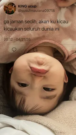 kicau mania