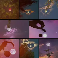 moon | 2024