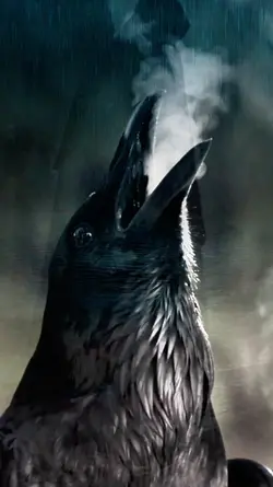RAVEN VIKING SPIRIT