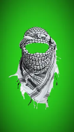 Habibi trend