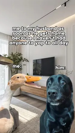 yapping