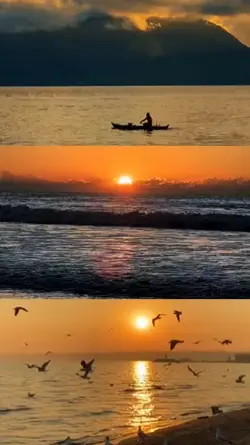 Sunset Vibes