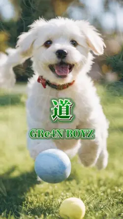 道 GRe4N BOYZ