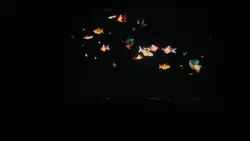 HOLOGRAM 3D