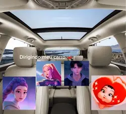 Dirigindo meu carro